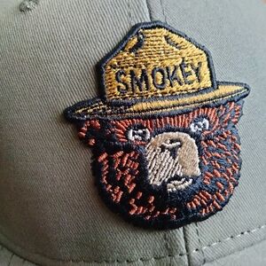 Smokey the bear cap american needle green